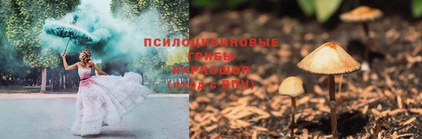 индика Алексин