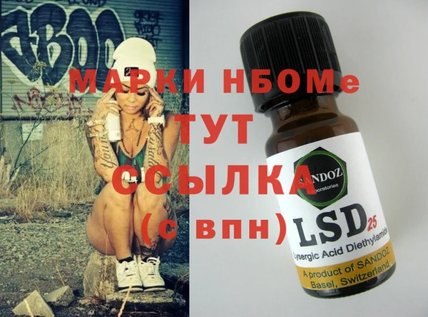 индика Алексин