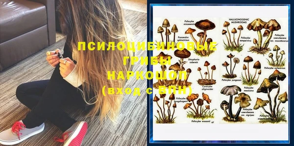 стафф Алексеевка