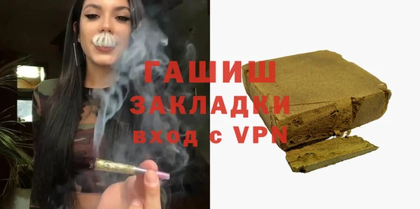 индика Алексин