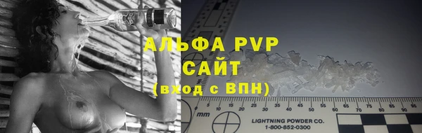 индика Алексин