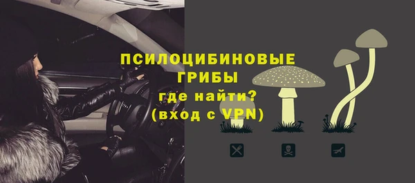 стафф Алексеевка