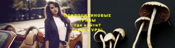 индика Алексин