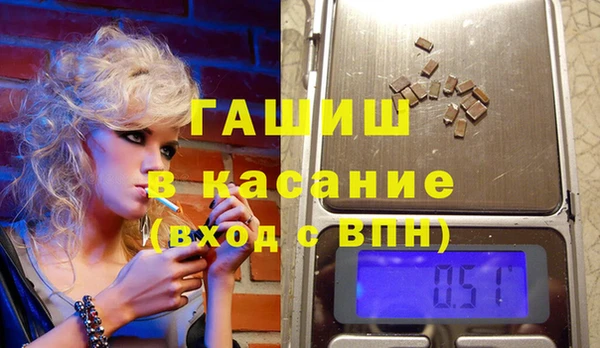 индика Алексин