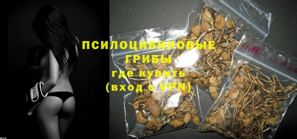крисы Медногорск