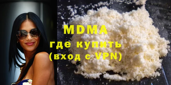 индика Алексин