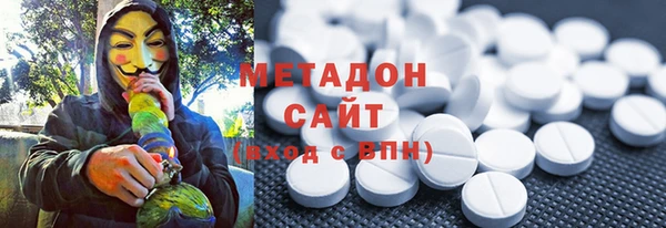 индика Алексин
