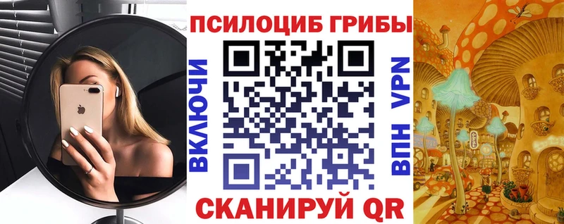 как найти закладки  Чаплыгин  Псилоцибиновые грибы мухоморы 
